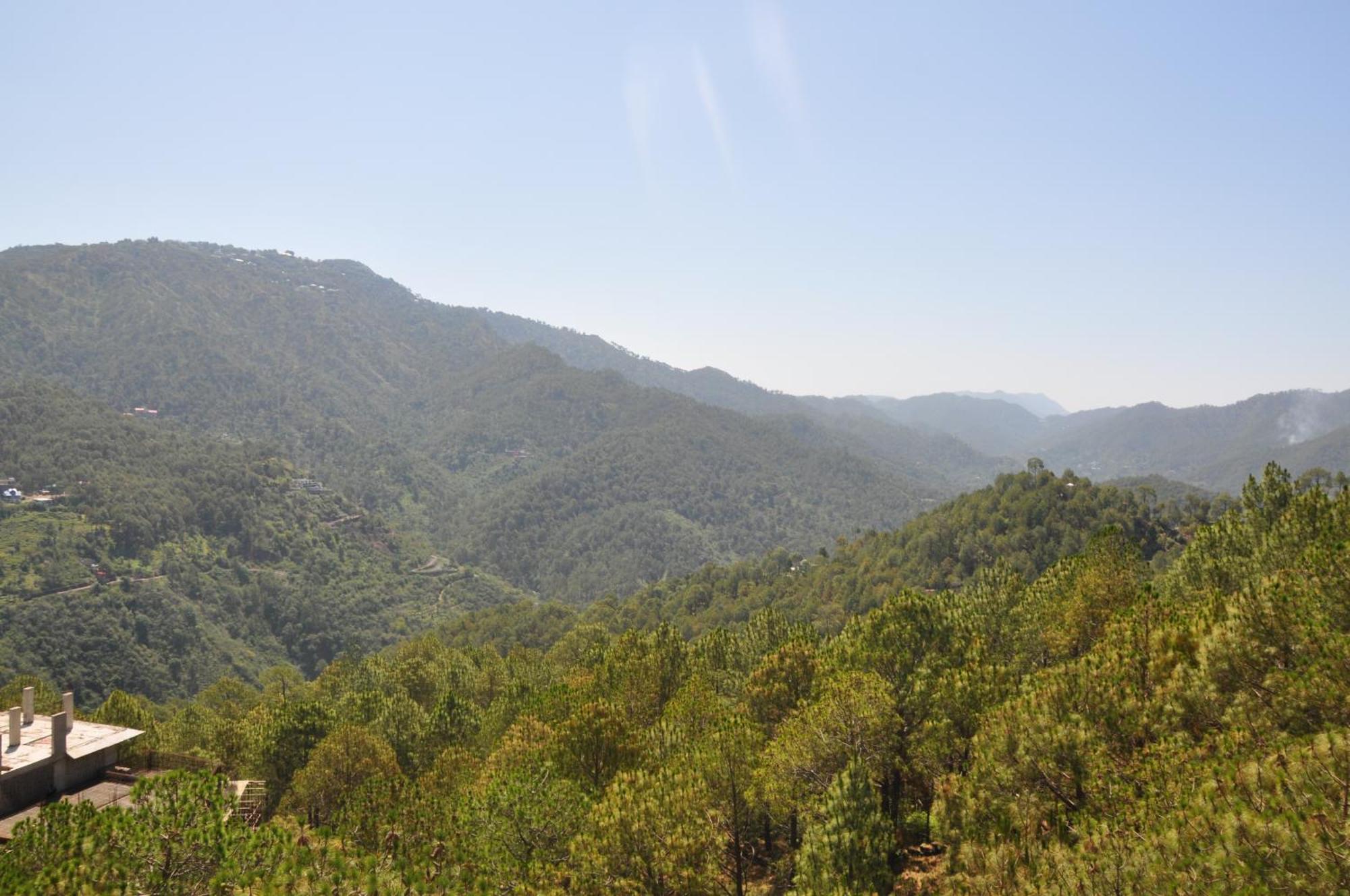 Pine Maderas By Embrace Lejlighed Kasauli Eksteriør billede